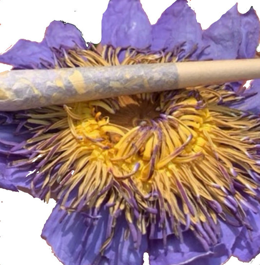 Blue Lotus Flower Pre-Roll’s